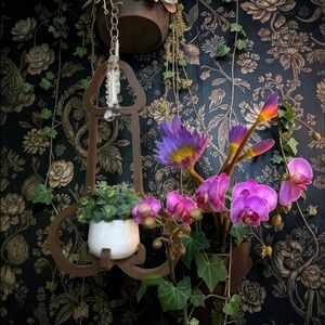 Mr. Morningwood Versatile Plant Hanger & Pot likes to hang low